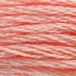 DMC Mouline Stranded Cotton 8 Metre Skein Embroidery Thread - 3824