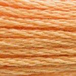 DMC Mouline Stranded Cotton 8 Metre Skein Embroidery Thread - 3854
