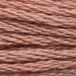 DMC Mouline Stranded Cotton 8 Metre Skein Embroidery Thread - 3859