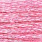 DMC Mouline Stranded Cotton 8 Metre Skein Embroidery Thread - 604