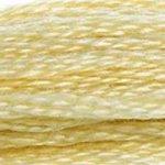 DMC Mouline Stranded Cotton 8 Metre Skein Embroidery Thread - 677