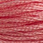 DMC Mouline Stranded Cotton 8 Metre Skein Embroidery Thread - 760