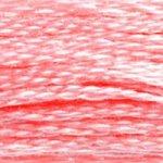 DMC Mouline Stranded Cotton 8 Metre Skein Embroidery Thread - 894