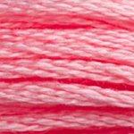 DMC Mouline Stranded Cotton 8 Metre Skein Embroidery Thread - 957