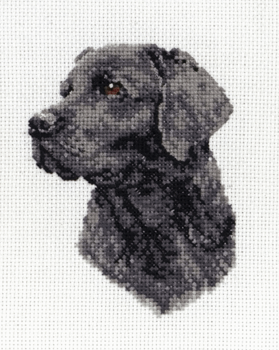 Cross Stitch Kit: Black Labrador