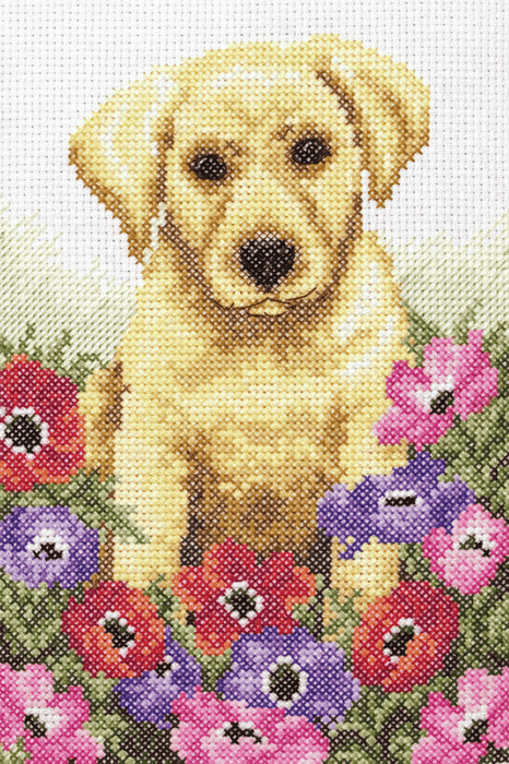 Counted Cross Stitch Kit: Puppy