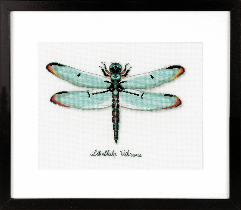 Counted Cross Stitch Kit: Dragonfly