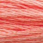 DMC Mouline Stranded Cotton 8 Metre Skein Embroidery Thread - 3341
