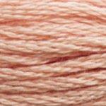 DMC Mouline Stranded Cotton 8 Metre Skein Embroidery Thread - 3771