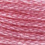 DMC Mouline Stranded Cotton 8 Metre Skein Embroidery Thread - 3806