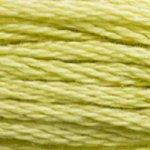 DMC Mouline Stranded Cotton 8 Metre Skein Embroidery Thread - 3819