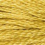 DMC Mouline Stranded Cotton 8 Metre Skein Embroidery Thread - 3820