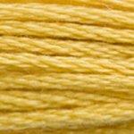 DMC Mouline Stranded Cotton 8 Metre Skein Embroidery Thread - 3821