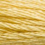 DMC Mouline Stranded Cotton 8 Metre Skein Embroidery Thread - 3822