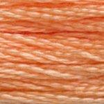 DMC Mouline Stranded Cotton 8 Metre Skein Embroidery Thread - 3825