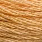 DMC Mouline Stranded Cotton 8 Metre Skein Embroidery Thread - 3827