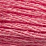 DMC Mouline Stranded Cotton 8 Metre Skein Embroidery Thread - 3833