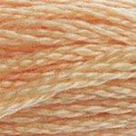 DMC Mouline Stranded Cotton 8 Metre Skein Embroidery Thread - 3856
