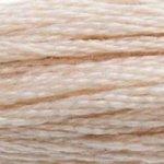 DMC Mouline Stranded Cotton 8 Metre Skein Embroidery Thread - 543