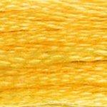 DMC Mouline Stranded Cotton 8 Metre Skein Embroidery Thread - 725