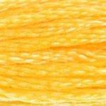DMC Mouline Stranded Cotton 8 Metre Skein Embroidery Thread - 743