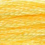 DMC Mouline Stranded Cotton 8 Metre Skein Embroidery Thread - 744