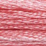 DMC Mouline Stranded Cotton 8 Metre Skein Embroidery Thread - 899
