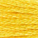 DMC Mouline Stranded Cotton 8 Metre Skein Embroidery Thread - 973