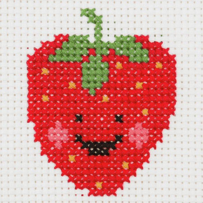 Counted Cross Stitch Kit: 1st Kit: Strawberry
