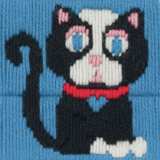 Long Stitch Kit: 1st Kit: Roberta