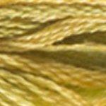 DMC Colour Variation Range 8 Metre Skein Embroidery Thread - 4070