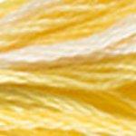 DMC Colour Variation Range 8 Metre Skein Embroidery Thread - 4080