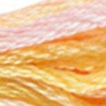 DMC Colour Variation Range 8 Metre Skein Embroidery Thread - 4100