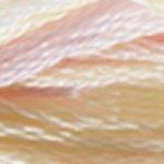 DMC Colour Variation Range 8 Metre Skein Embroidery Thread - 4160