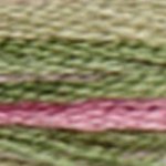 DMC Coloris Range Stranded Cotton 8 Metre Skein Embroidery Thread - 4500