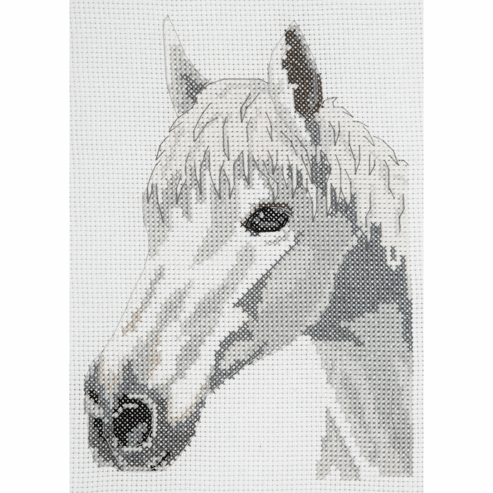 Counted Cross Stitch Kit: Starter: White Beauty: Horse