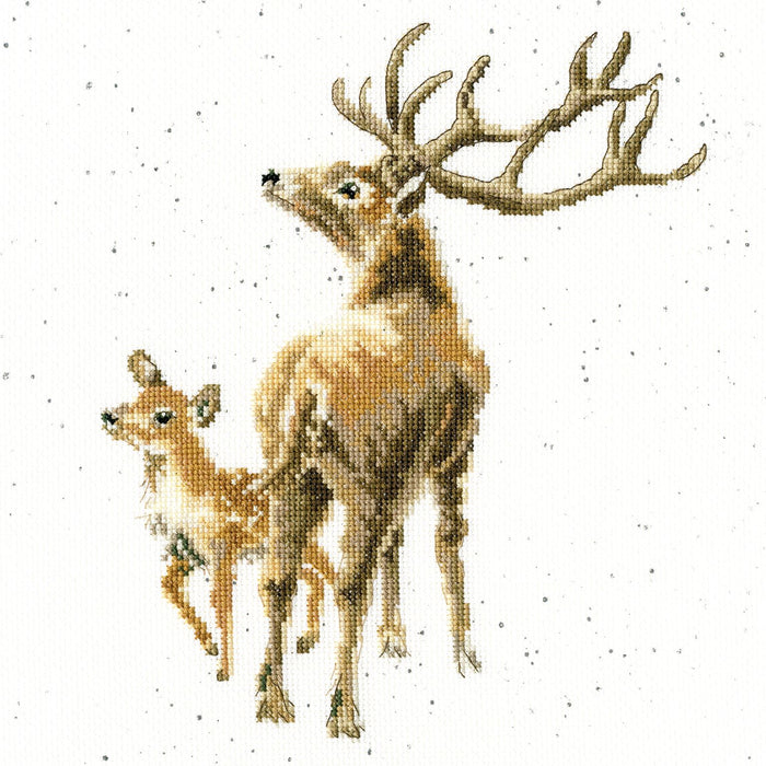 Wrendale Designs - Wild at Heart