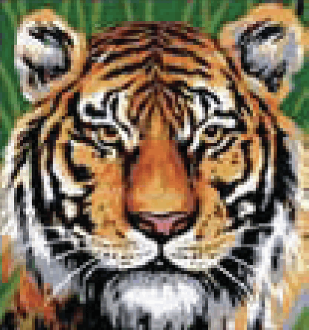 Tapestry Kit: Tiger