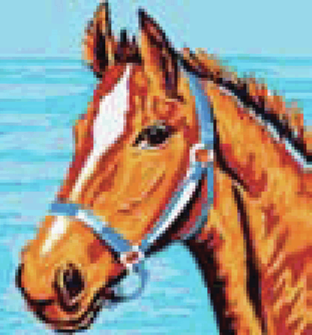 Tapestry Kit: Horse's Head