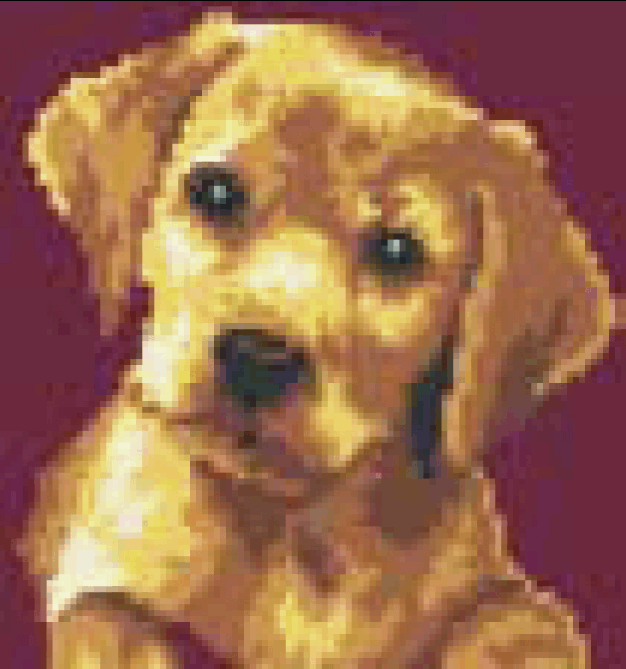 Tapestry Kit Labrador Puppy Johnsoncrafts