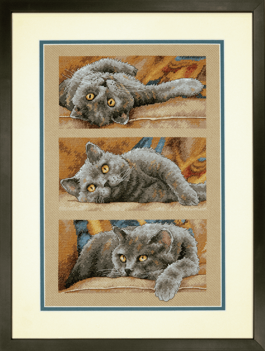 Counted Cross Stitch Kit: Max The Cat