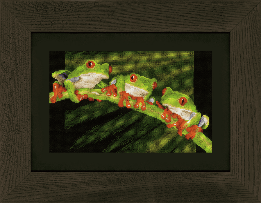 Counted Cross Stitch Kit: Red Eye Tree Frog Trio