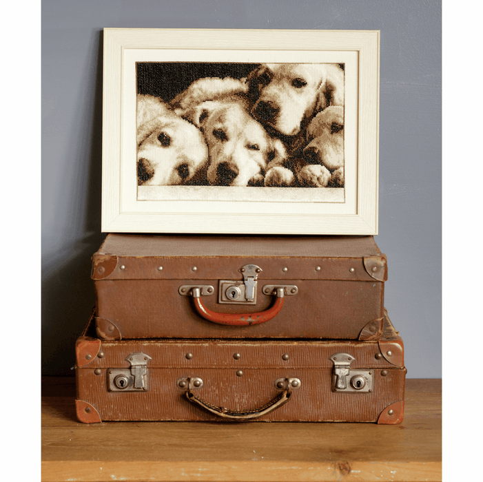 Counted Cross Stitch Kit: Labradors