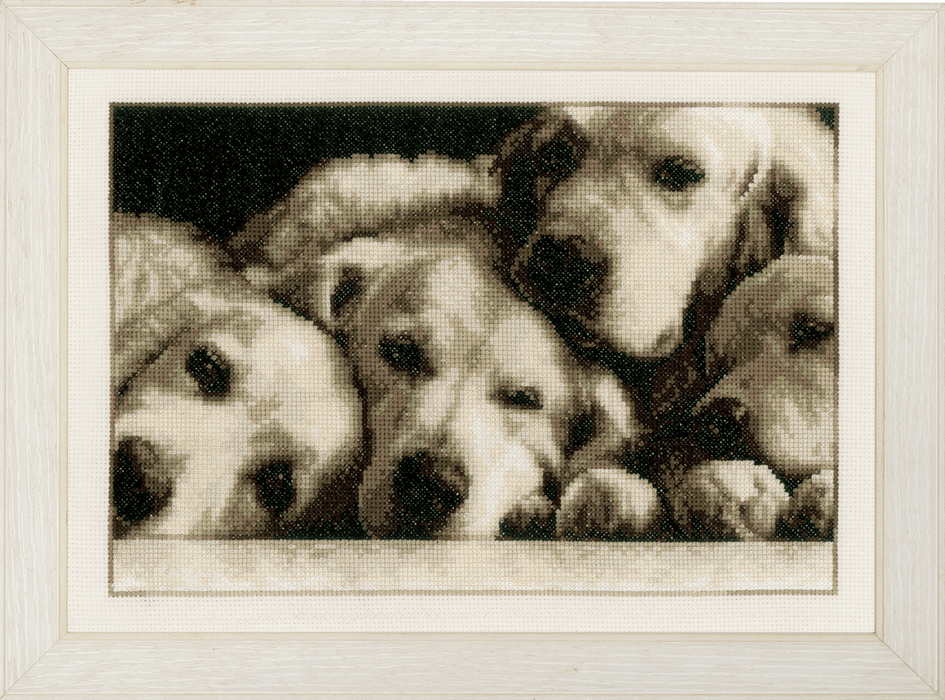 Counted Cross Stitch Kit: Labradors