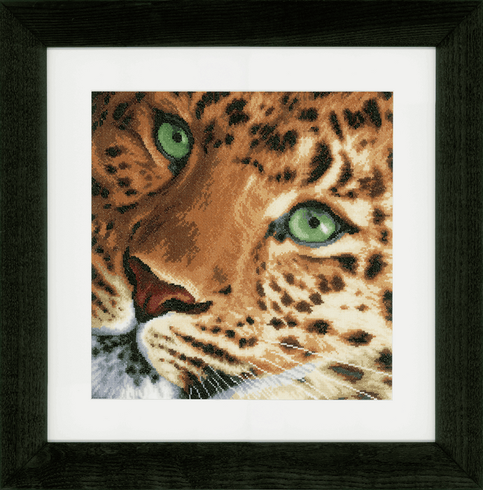 Counted Cross Stitch Kit: Leopard: (Evenweave)