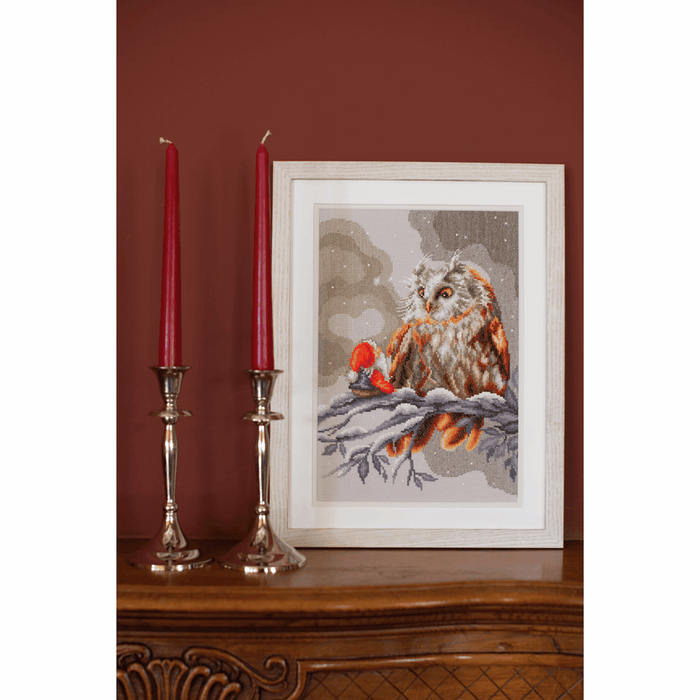 Counted Cross Stitch Kit: Owl and Gnome