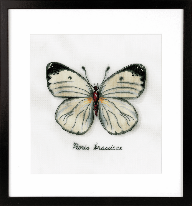 Counted Cross Stitch Kit: White Butterfly