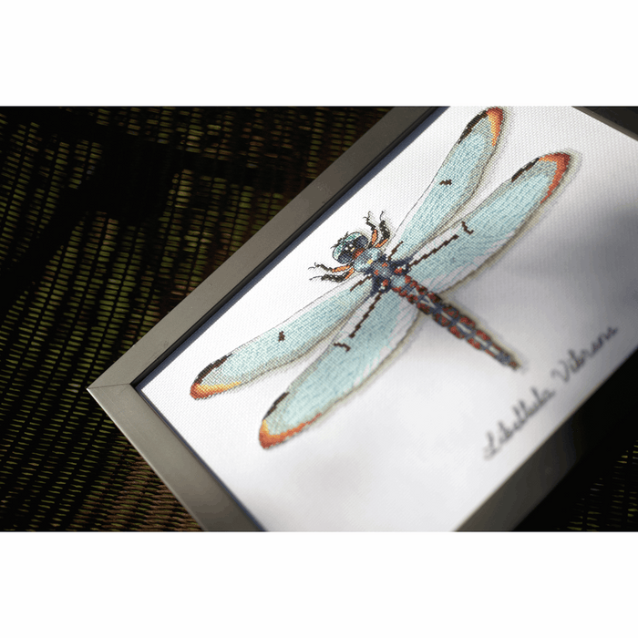 Counted Cross Stitch Kit: Dragonfly