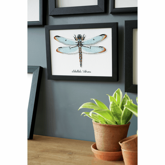 Counted Cross Stitch Kit: Dragonfly