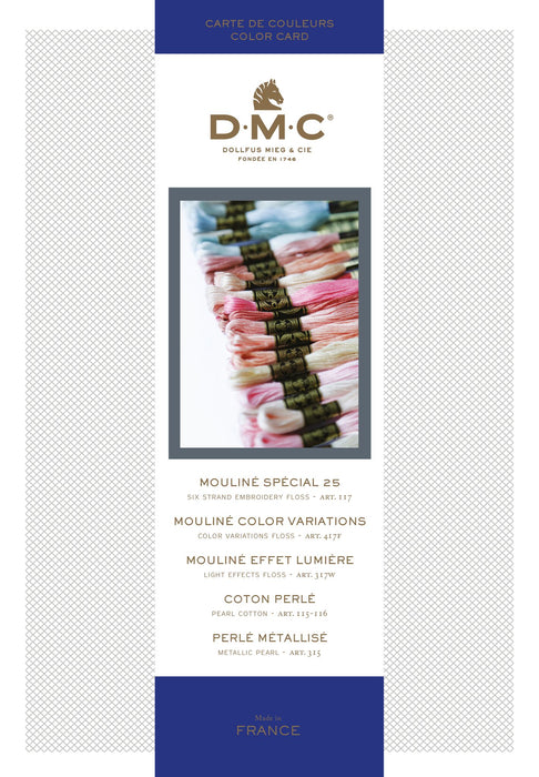 DMC Stranded Cotton Shade Card - W100B